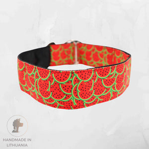 Summer Red and Green Watermelon Print Dog Collar Distinguish Me