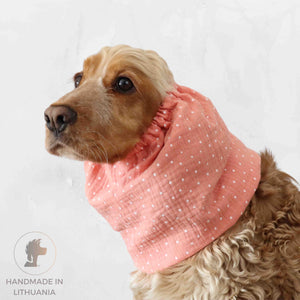 dog with coral snood by Distinguish me