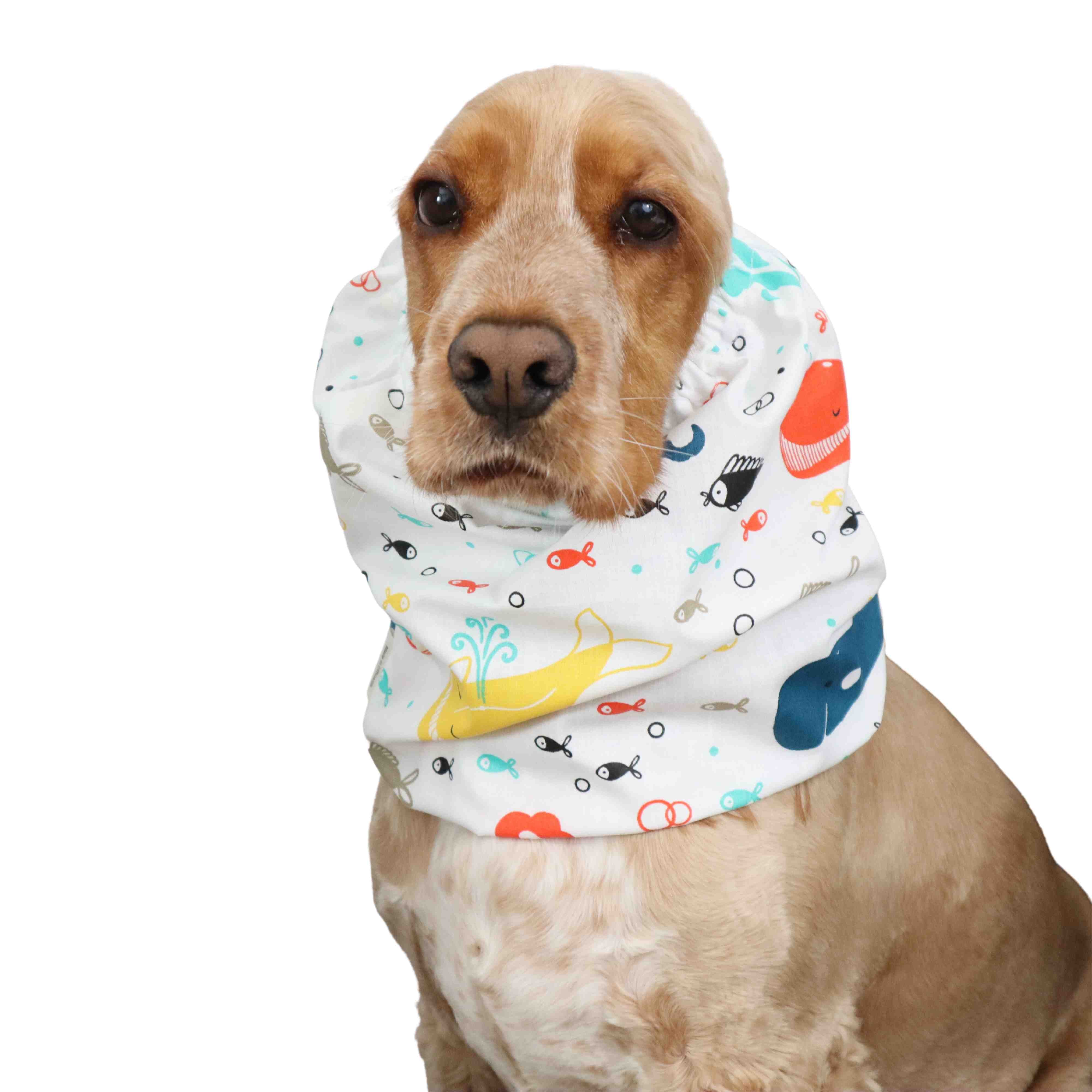 Dog with Snood by Distinguish Me