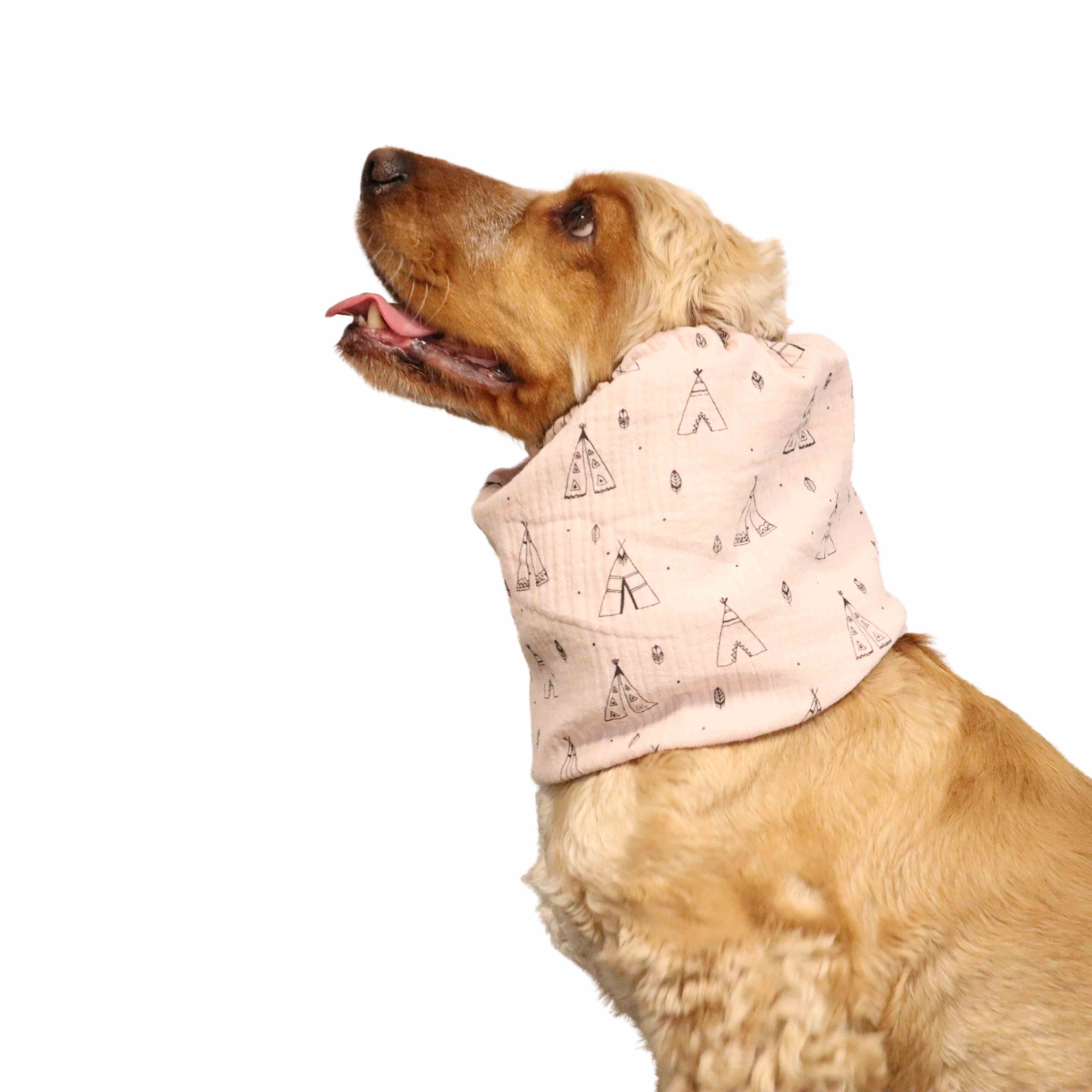 muslin snoods for dogs distinguish me