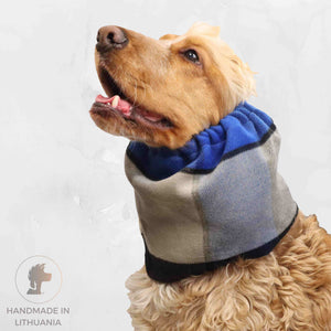 Dog with winter dog snood from Distinguish Me