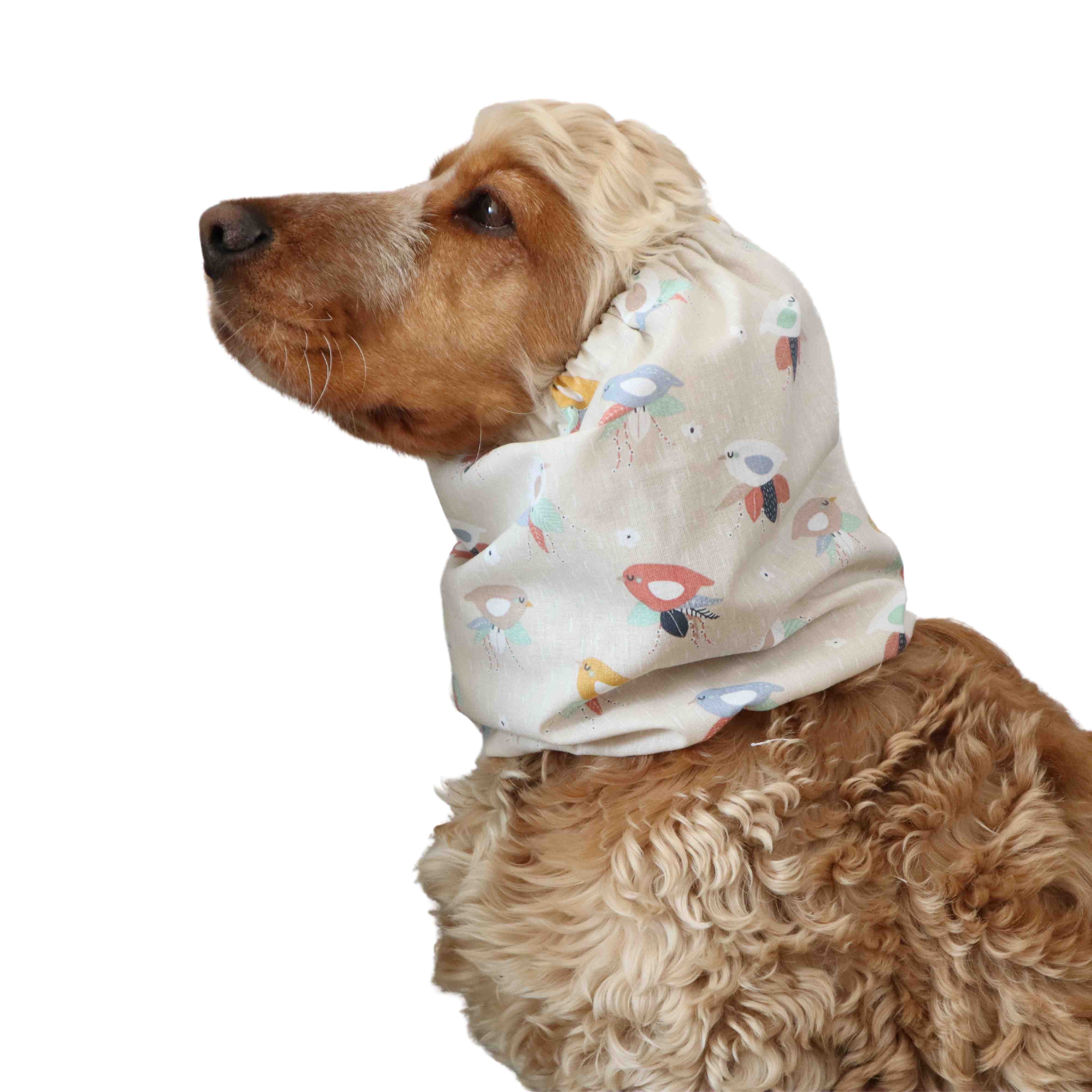 Sylish snood for dog Birds Distinguish me