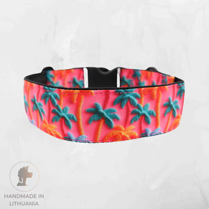 Tropical Dog Collar with Palm Tree Print-Summer Style for Your Pet Distinguish me