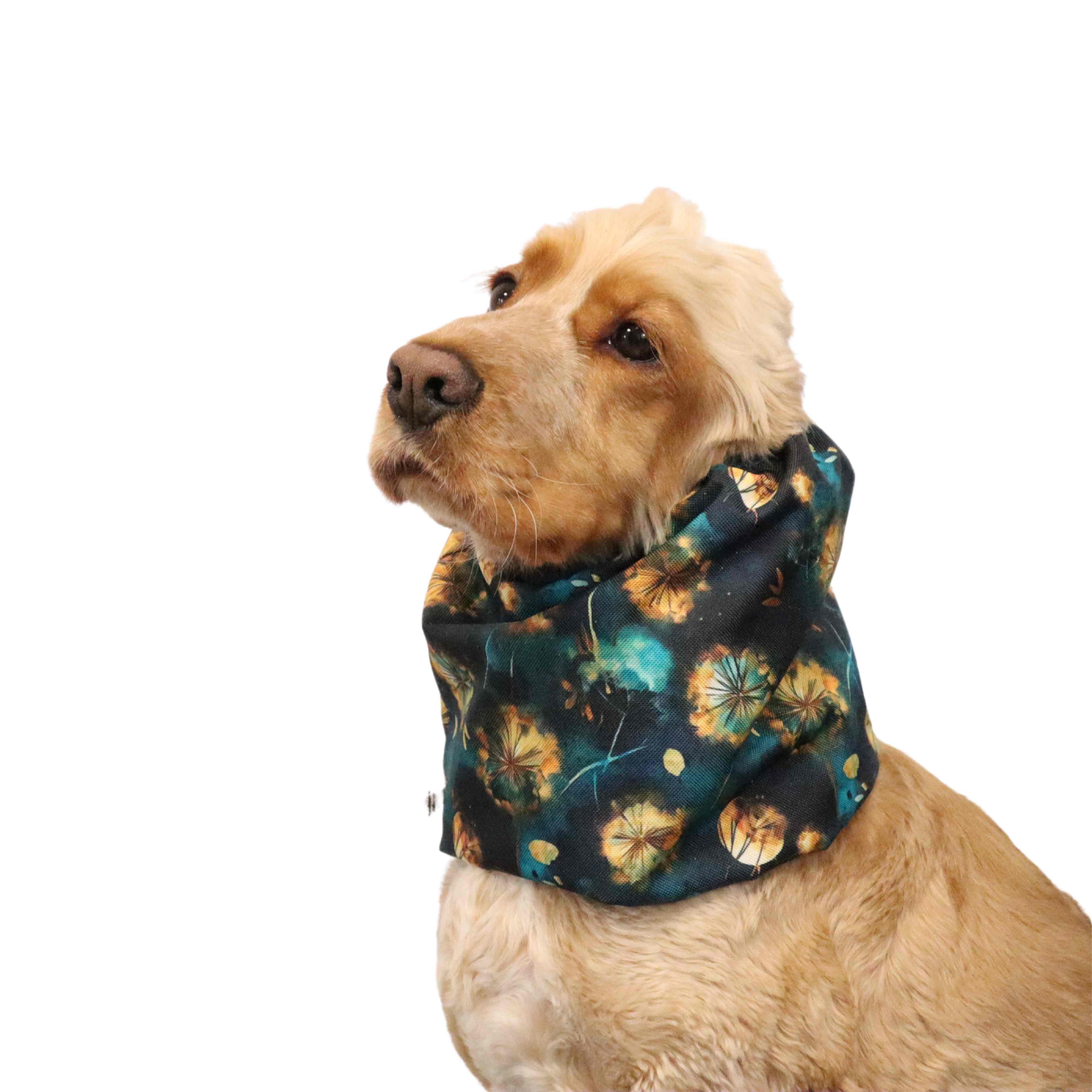 brown cocker spaniel with waterproof snood decorated with fluff created by distinguish me