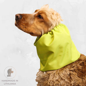 Waterproof Dog Snood Pistachio Distinguish Me