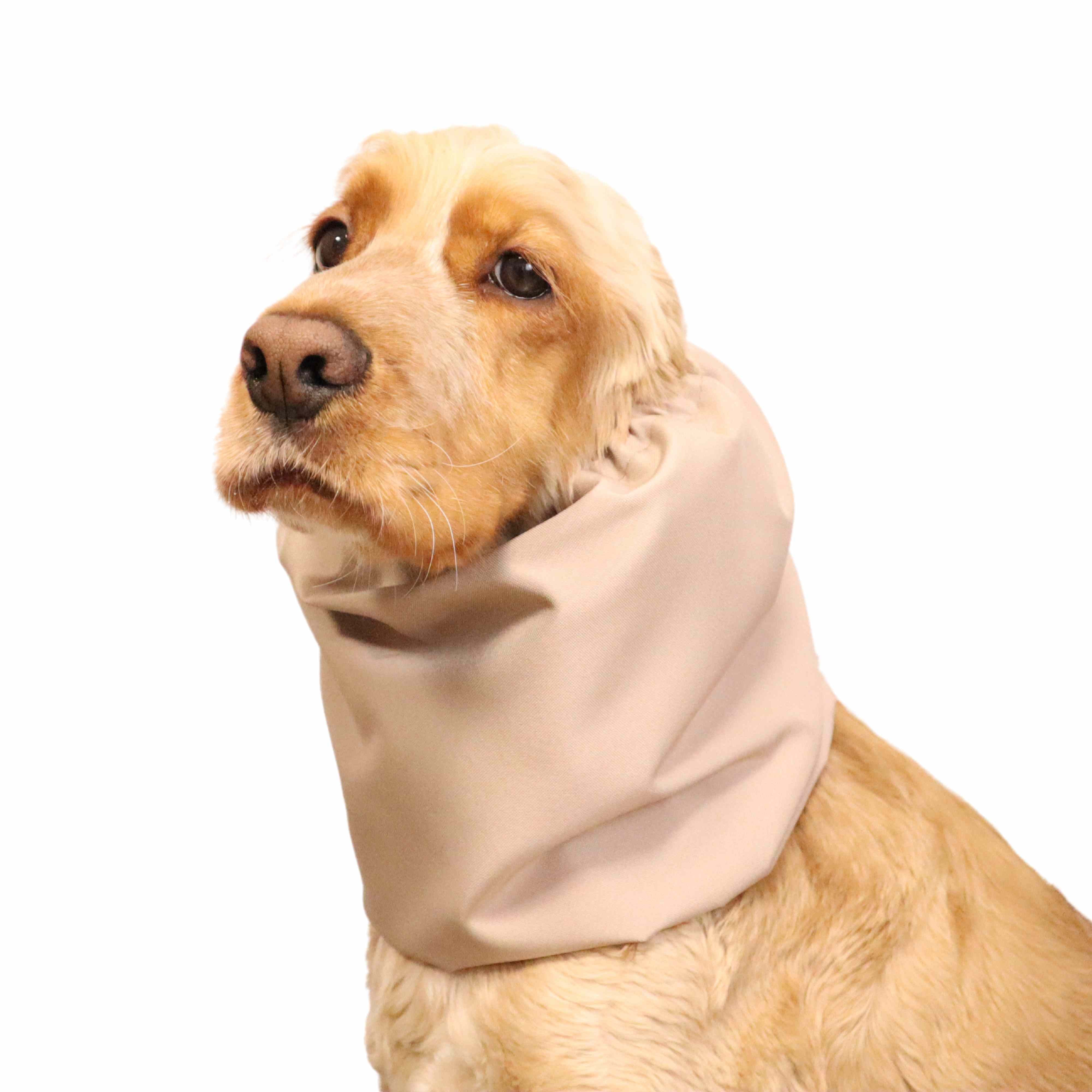 Dog With Cream Snood by Distinguish Me