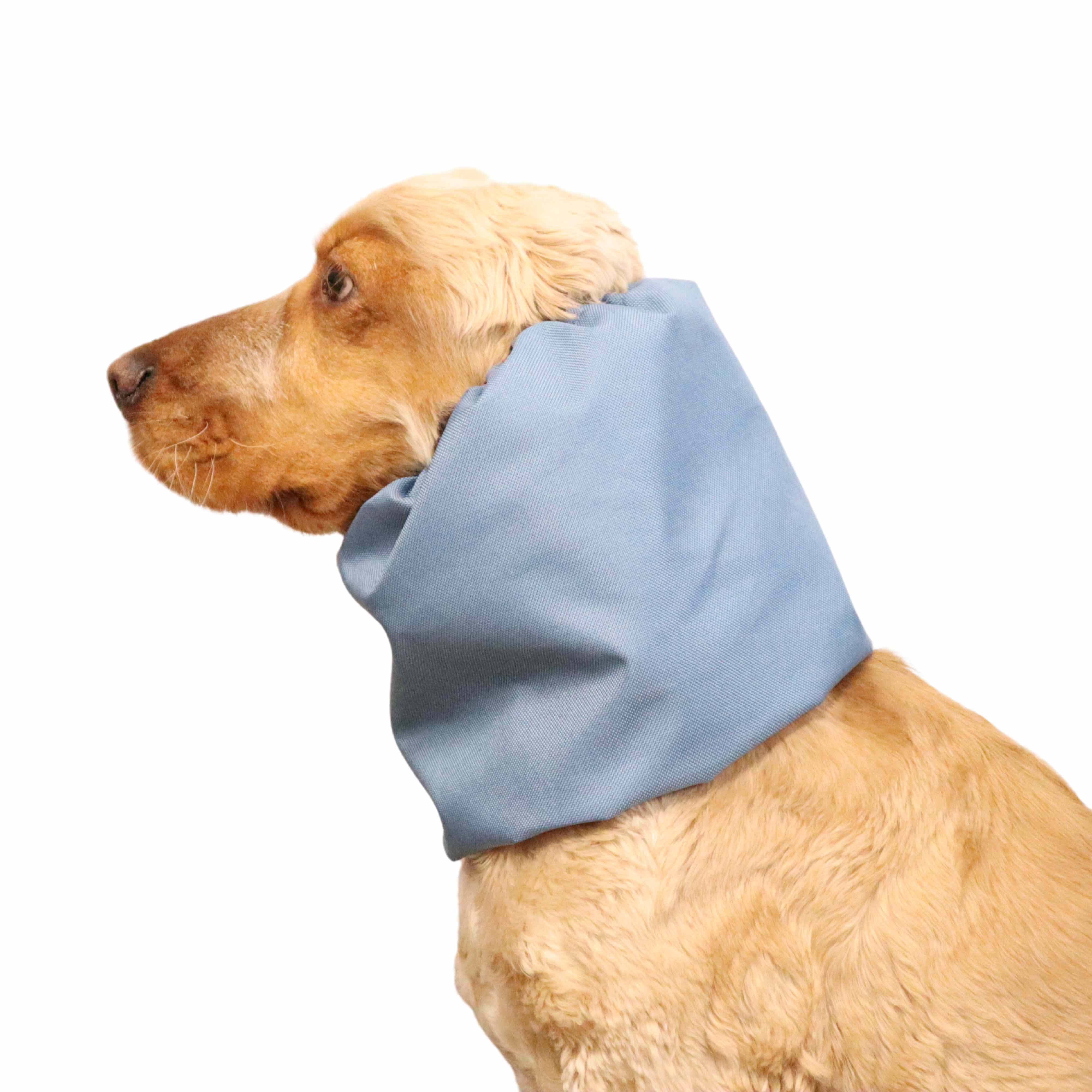 Dog With Petrol blue dog snood by Distinguish Me