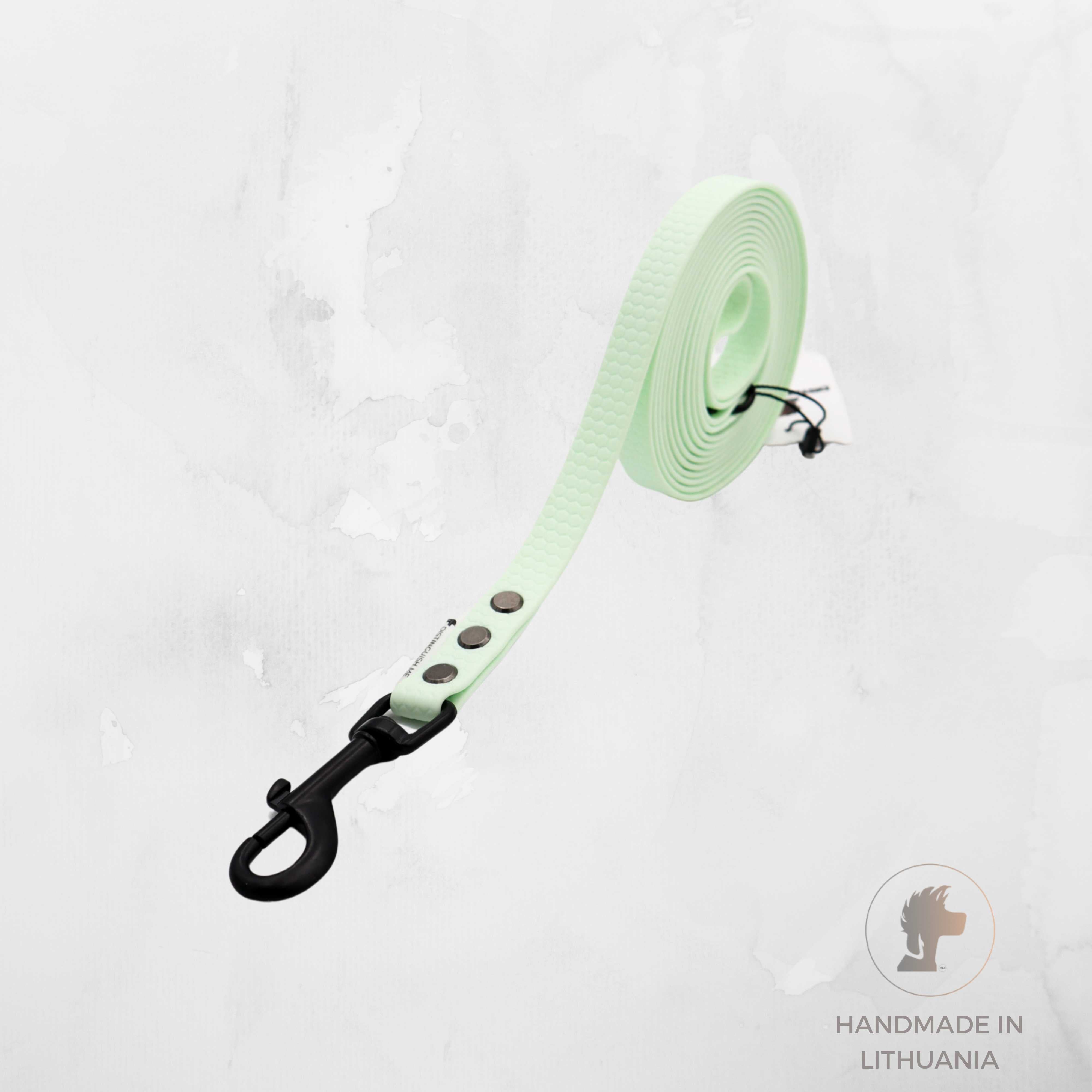Non - Slip, Waterproof Dog Leash Hexa | Mint Green | Width: 16 mm