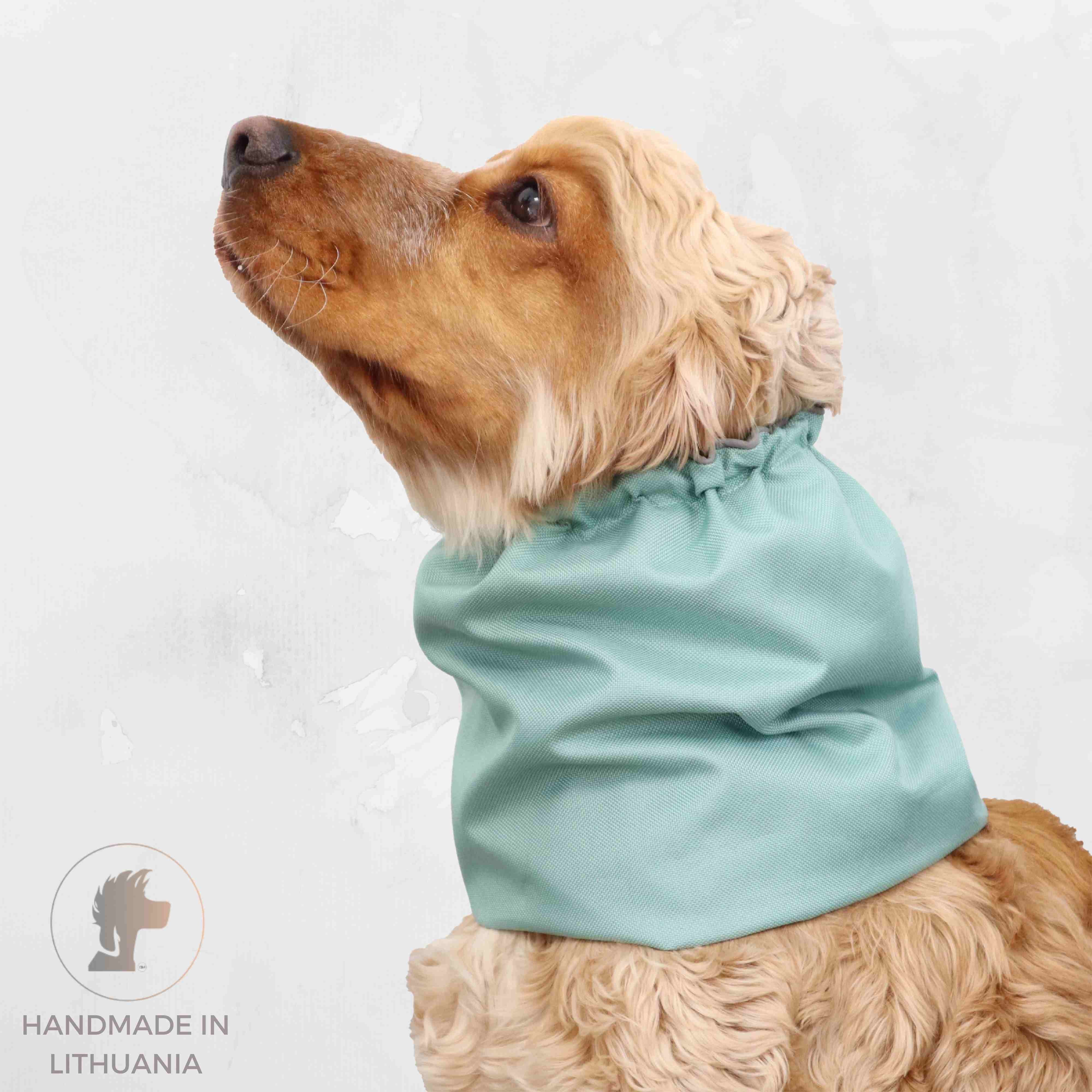 Waterproof snood for dog Mint Green by Distinguish Me