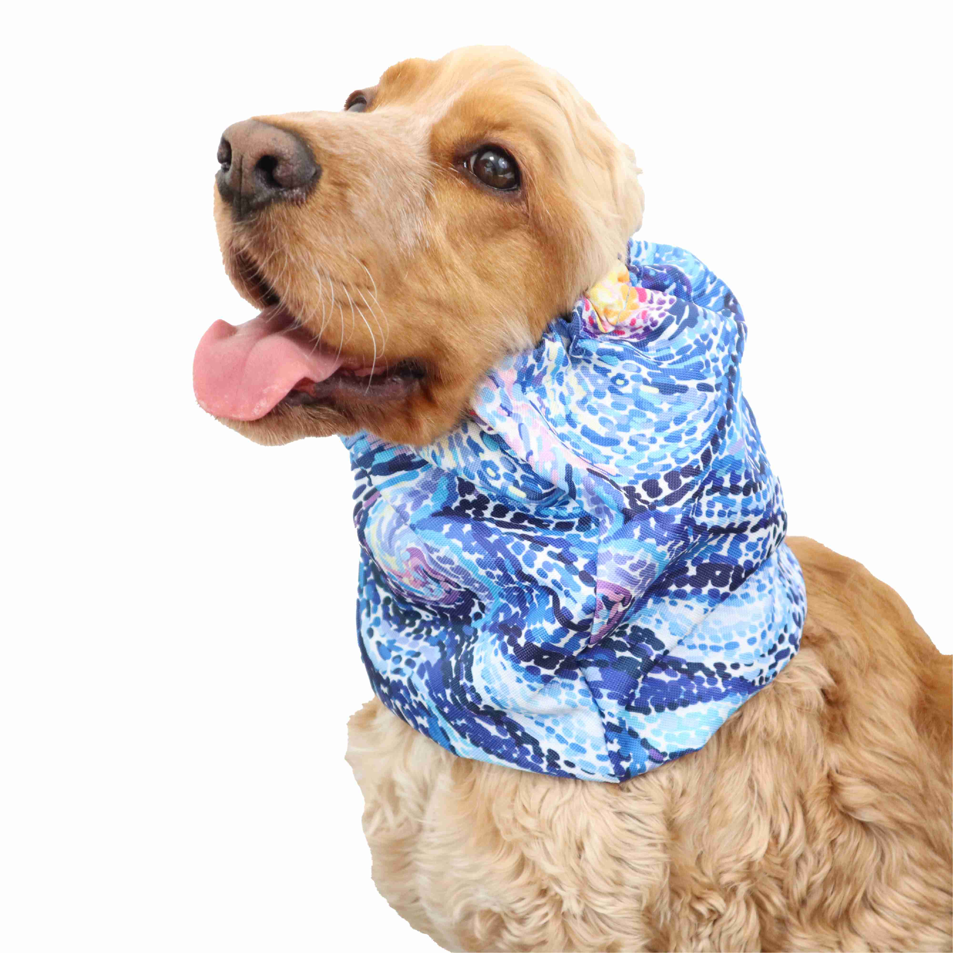 Dog Snood Distinguish Me