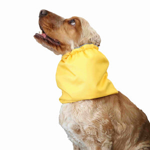 Yellow snood for dog Distinguish Me