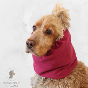 Cocker Spaniel wearing a raspberry pink muslin dog snood for feeding and summer walks