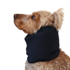 Black muslin snood for Spaniel, Cavalier, Poodle and other long eared dogs