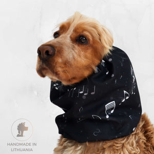 Dog wearing a black scarf with musical notes on a light gray background