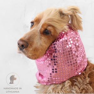 cocker with sparkling dog show snood