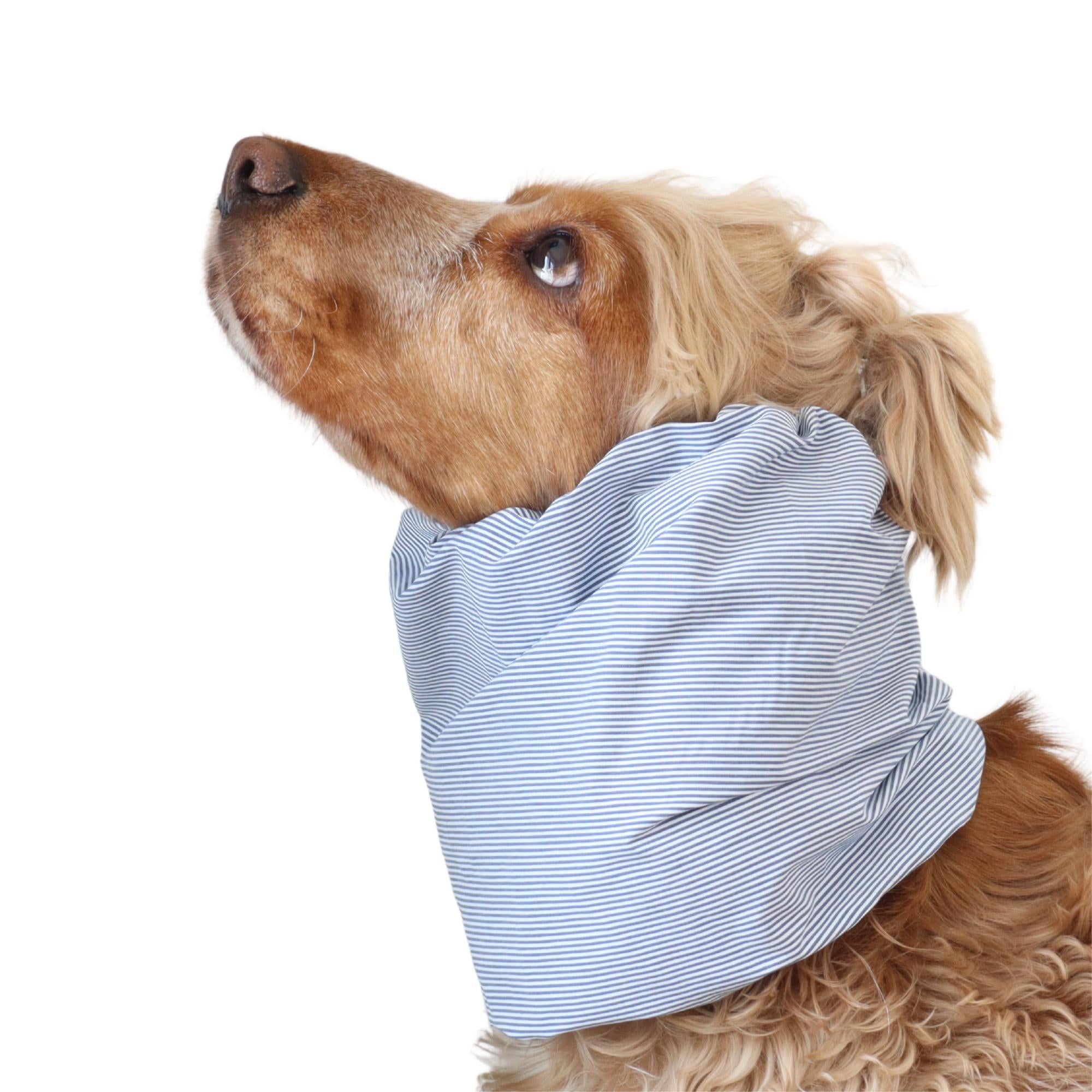 Long eared dog wearing a handmade Blue Pinstripes summer snood by Distinguish Me
