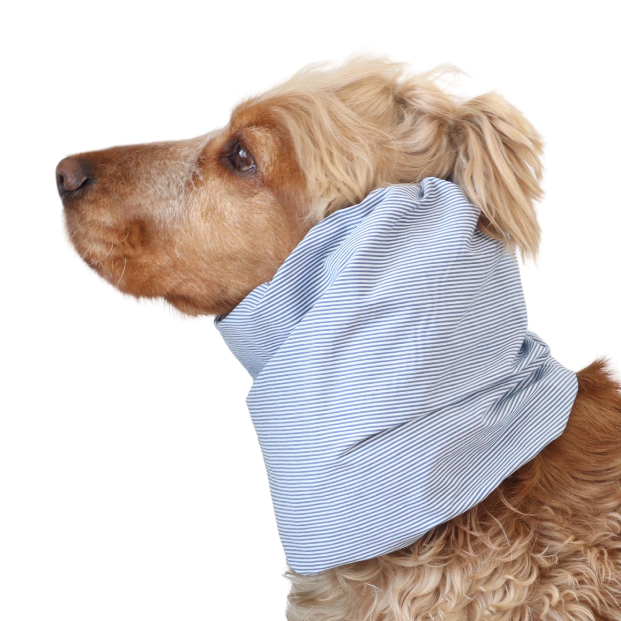 Blue striped dog snood for Spaniel, Cavalier, Basset Hound and Poodle