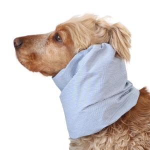 Blue striped dog snood for Spaniel, Cavalier, Basset Hound and Poodle