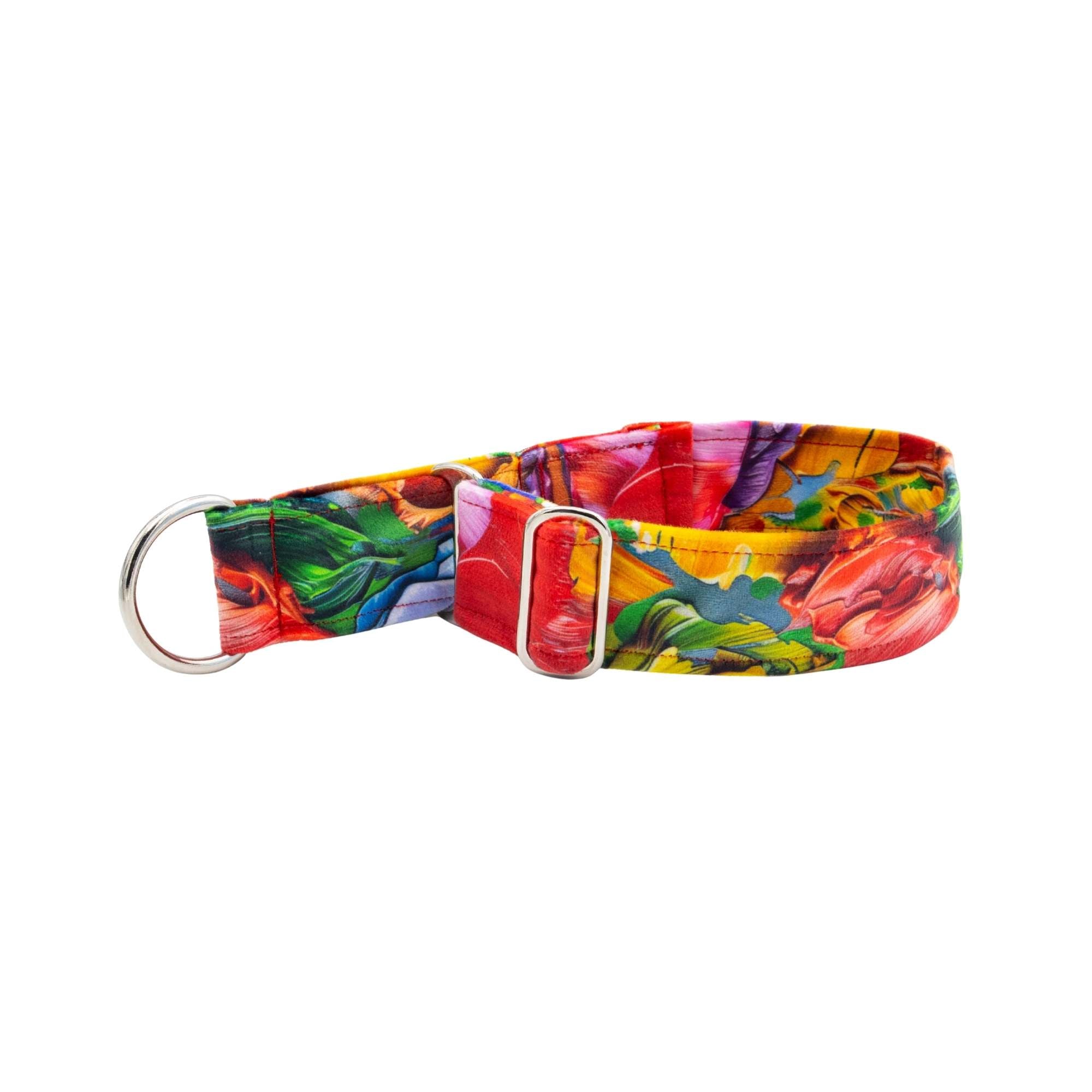 Carnival velour dog collar in vibrant rainbow colors, handmade luxury pet accessory by Distinguish Me