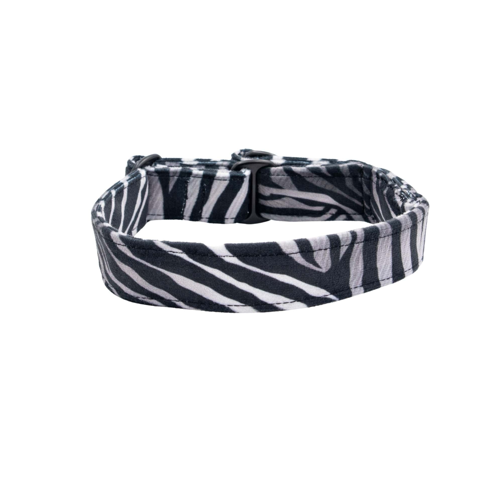 Zebra patterned dog collar on a white background
