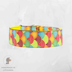 bright large dog collar by distinguish me