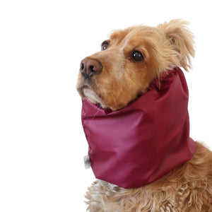 Lightweight polyester dog snood in burgundy color worn by a Cocker Spaniel