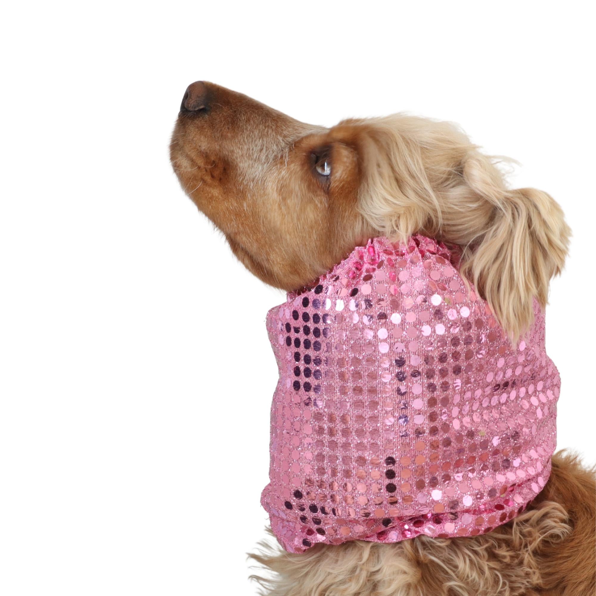 cavalier dog snood pink disco
