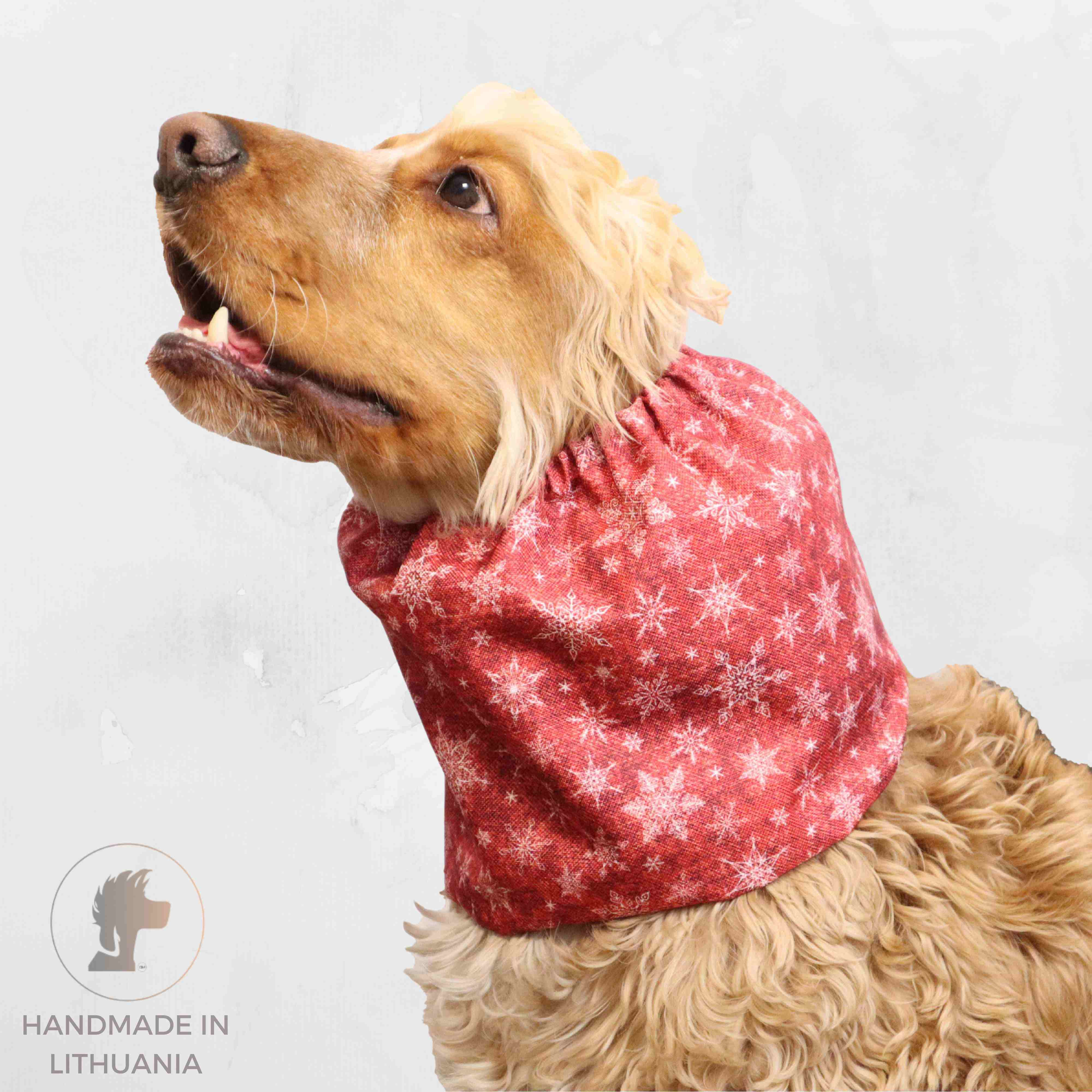 christmas dog snood Distinguish Me