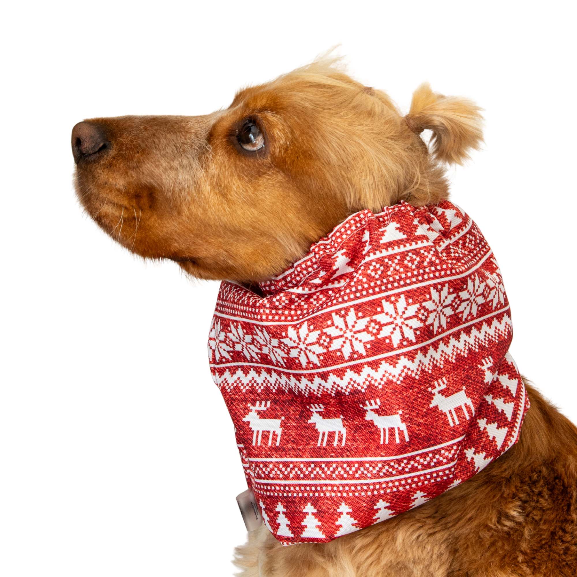 Waterproof Dog Snood | Red Reindeer