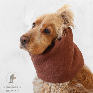 Cocker Spaniel wearing a cinnamon brown muslin dog snood for feeding and summer walks