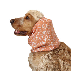 classy summer snood for spaniel copper dots Distinguish me