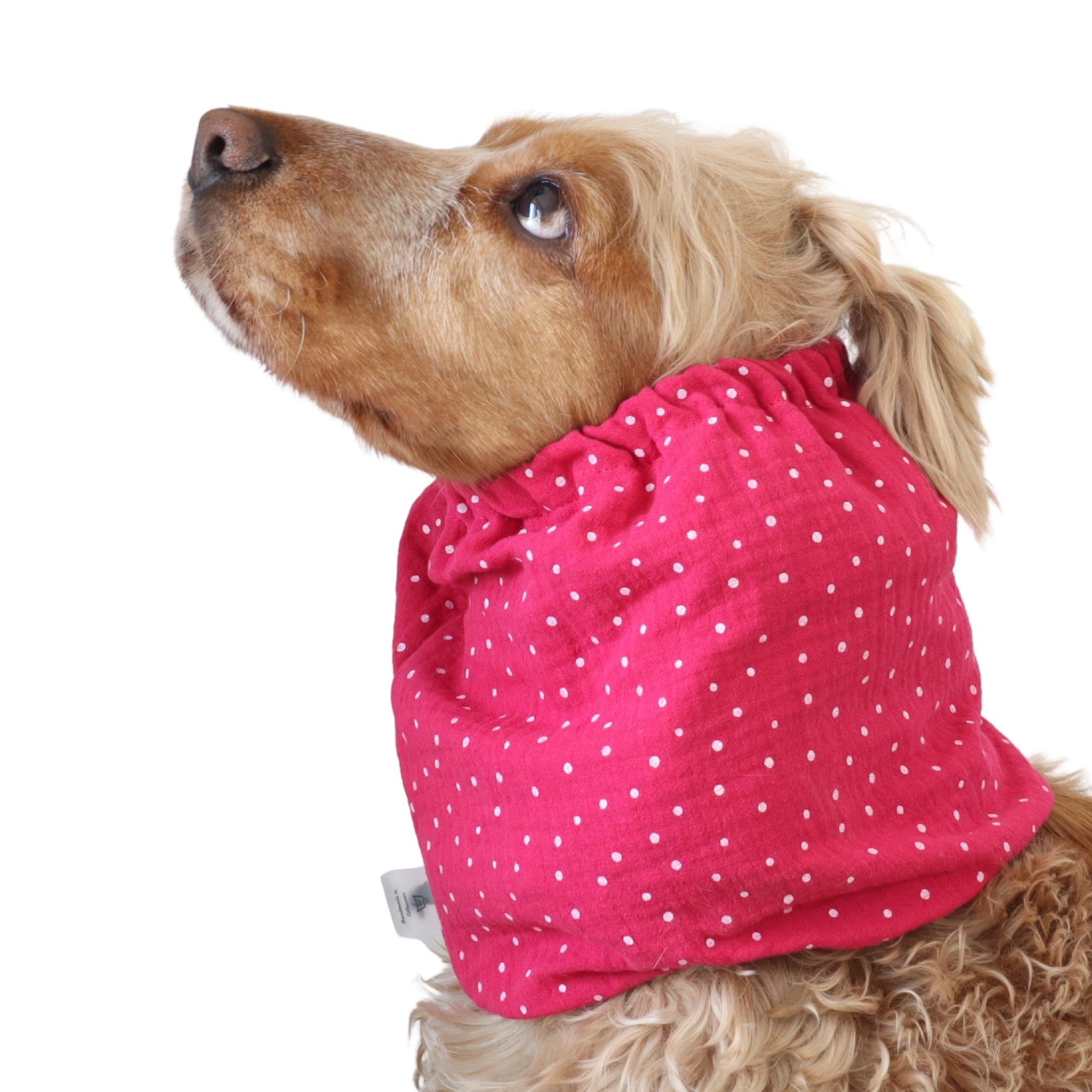 Pink polka dot dog snood for Spaniel, Cavalier, Basset Hound and Poodle