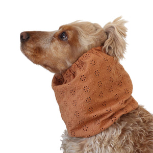 Long eared dog wearing a handmade Copper Blossom summer snood by Distinguish Me