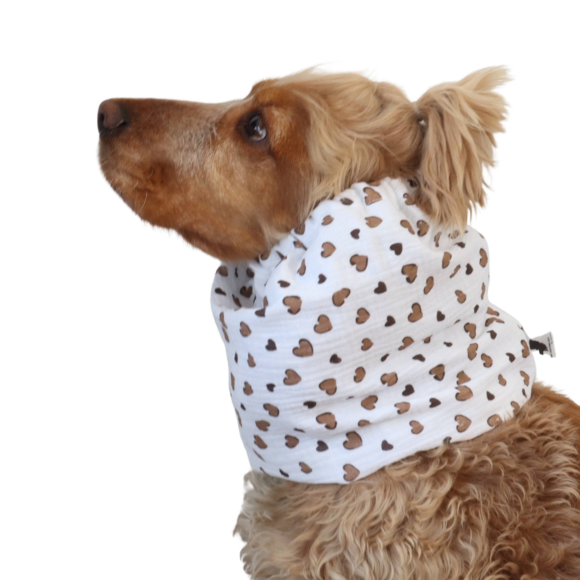 Long eared dog wearing a handmade Latte Hearts summer snood by Distinguish Me