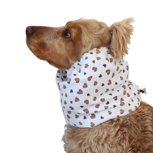 Long eared dog wearing a handmade Latte Hearts summer snood by Distinguish Me
