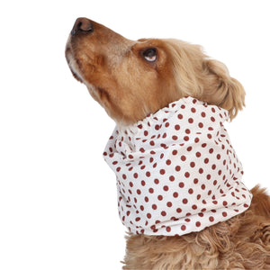 White dog snood with brown polka dots for Spaniel, Cavalier, Basset Hound and Poodle