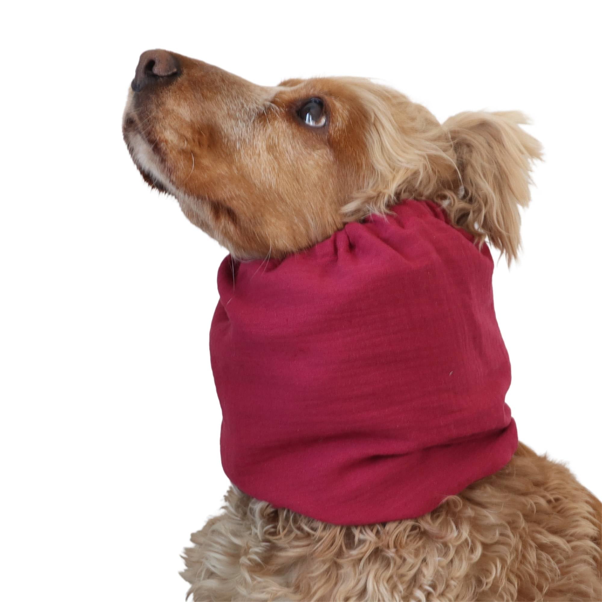 Long eared dog wearing a handmade Raspberry Pink summer snood by Distinguish Me