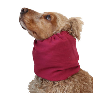 Long eared dog wearing a handmade Raspberry Pink summer snood by Distinguish Me
