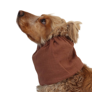 Long eared dog wearing a handmade Toffee summer snood by Distinguish Me