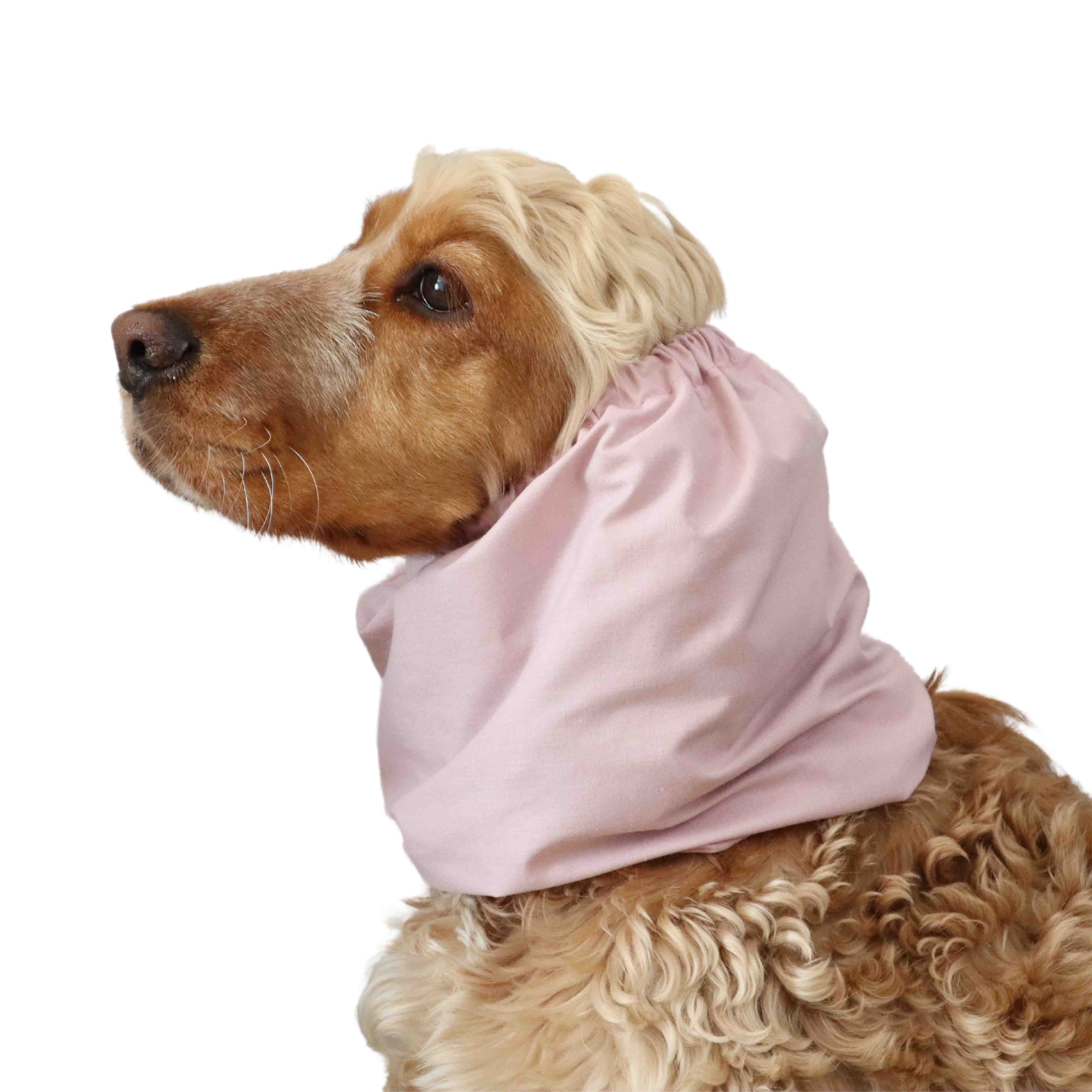 cotton cream pink snood for dog Distinguish me