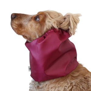 Burgundy ear protector snood for Cocker Spaniel, Cavalier, Basset and Poodle