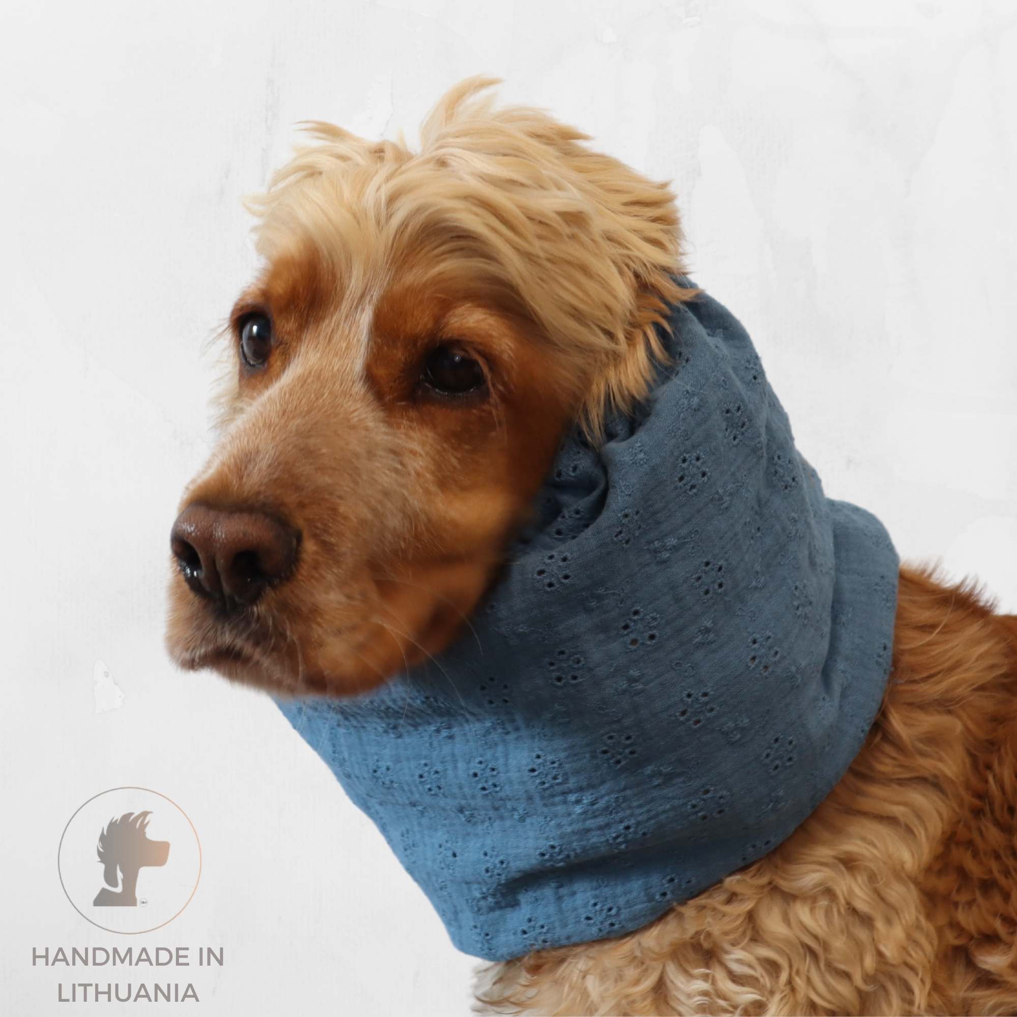 Cocker spaniel wearing a sky blue floral dog snood – Sky Bloom summer accessory by Distinguish Me