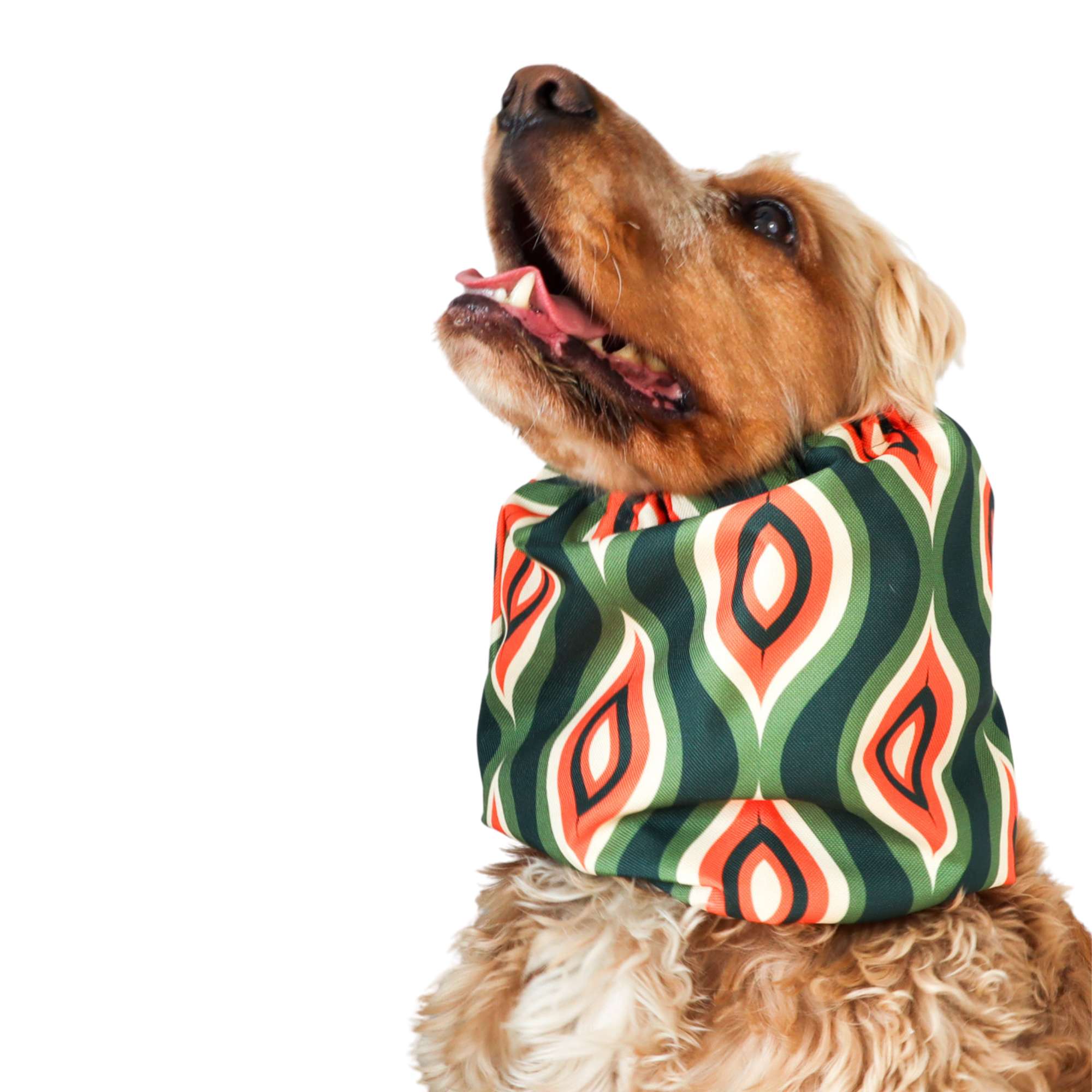 Waterproof dog snood in retro print – ear cover for English Setter, Beagle, and long-eared dogs