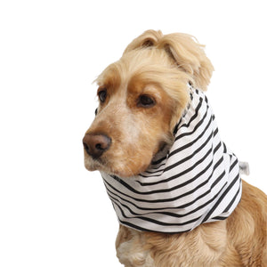 Front three-quarter view of a Cocker Spaniel wearing the Mono Stripes cotton dog snood, showing the black and white striped pattern and overall fit.