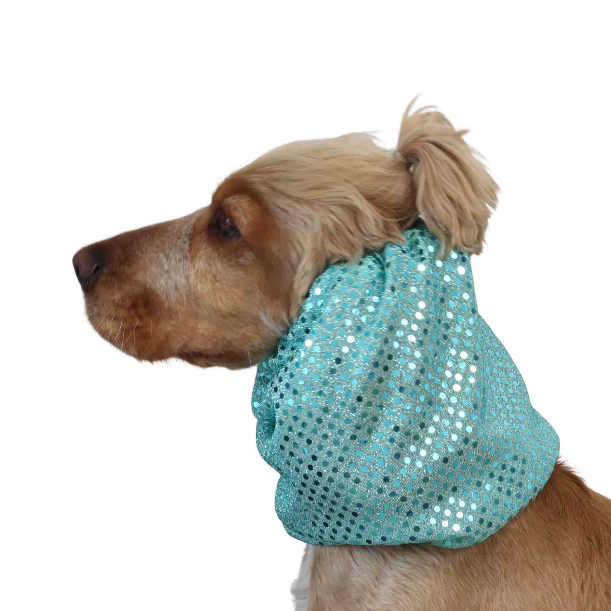A small brown dog shown in side profile wearing a shiny turquoise pet hood with silver sequins, isolated on a white background.