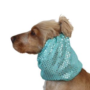 A small brown dog shown in side profile wearing a shiny turquoise pet hood with silver sequins, isolated on a white background.