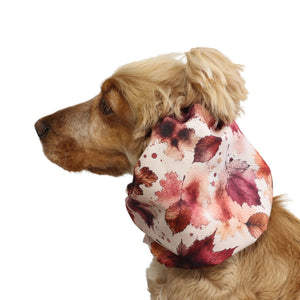 Cocker Spaniel wearing the Autumn Maple dog snood from another angle, showing the fit around the neck and the gathered elastic edges.