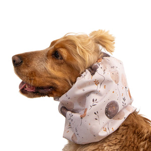 Dog with Snood for dogs by Distinguish me