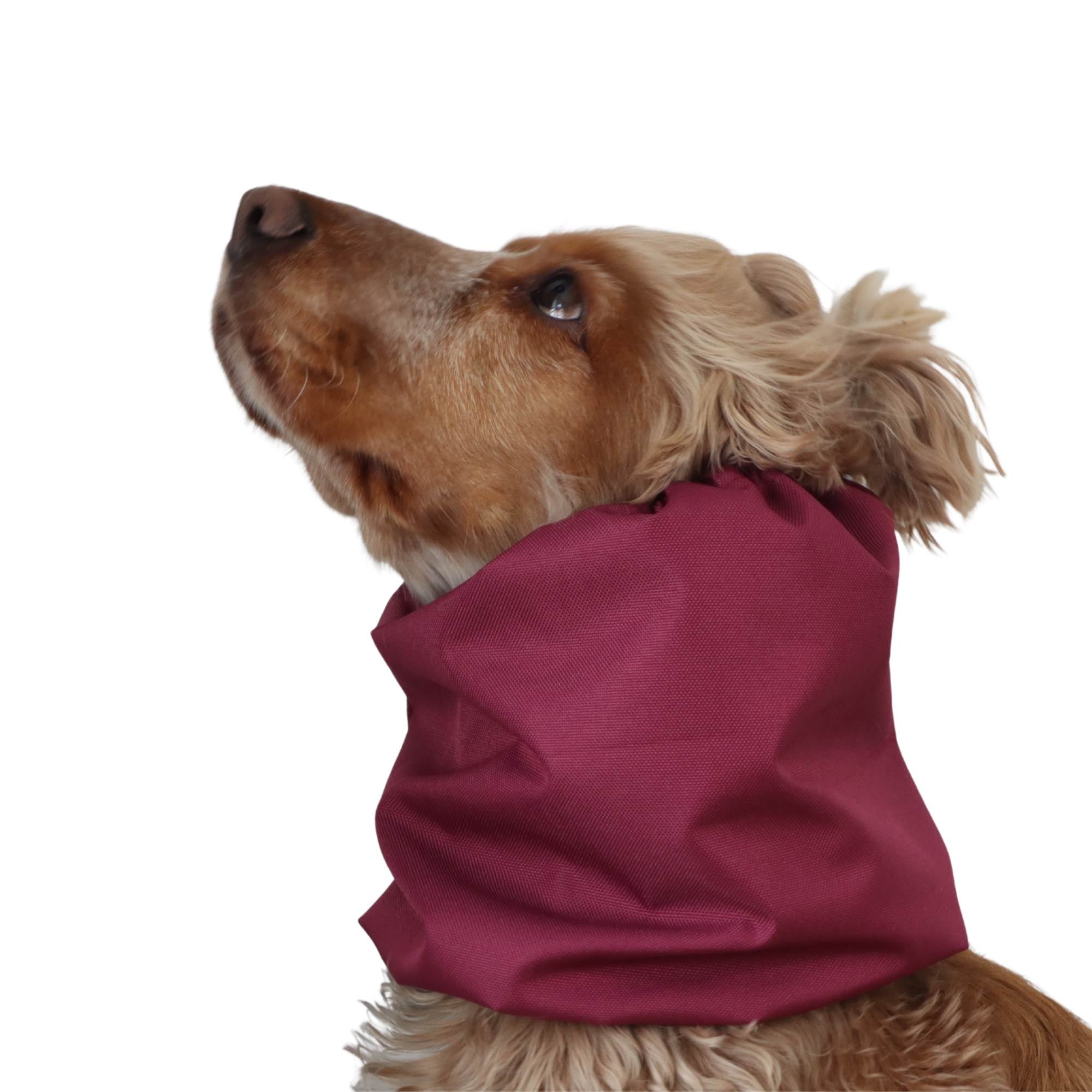 Distinguish me waterproof dog snood Raspberry in solid burgundy fabric for long-eared dogs