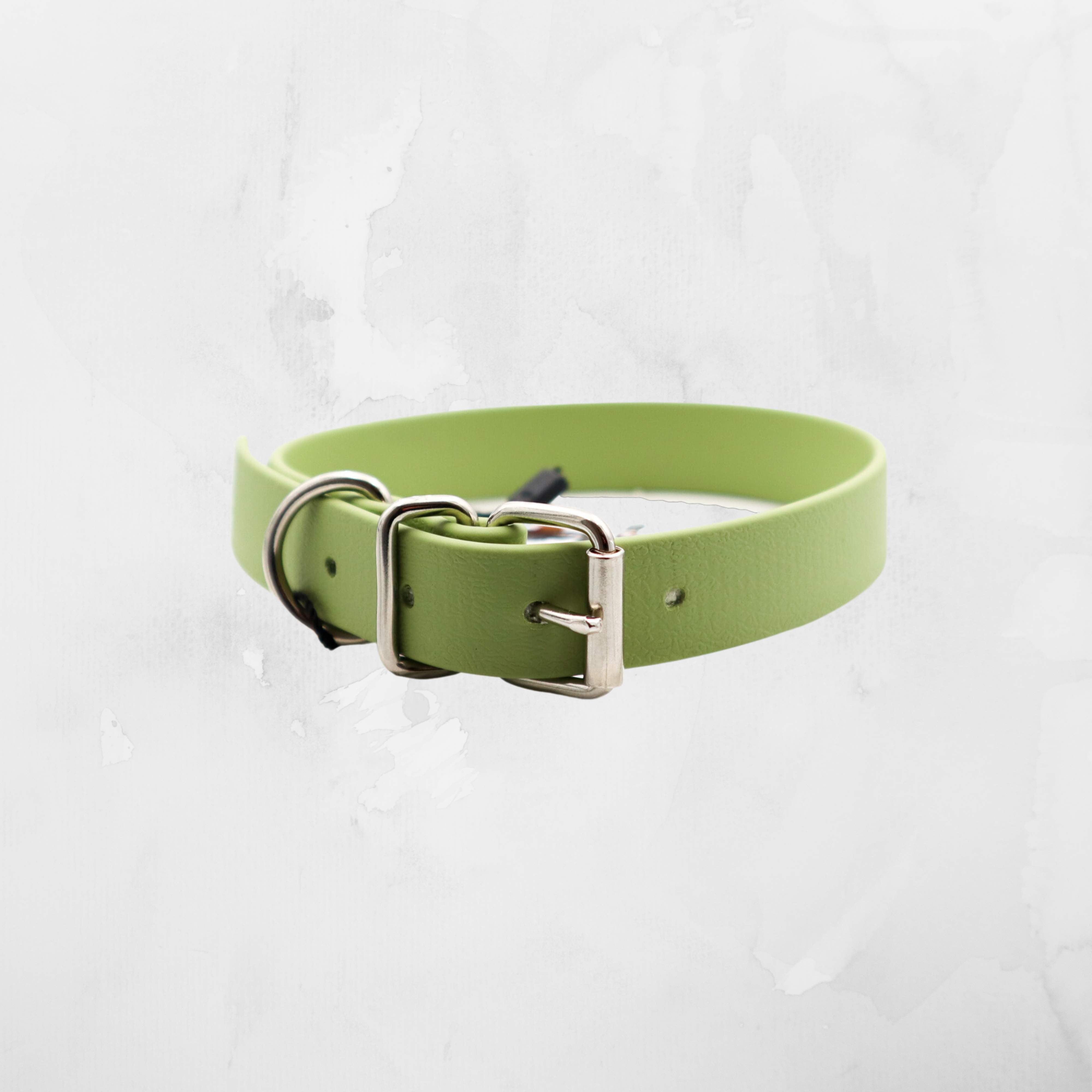 Distinguish Me biothane mint green dog collar with a sturdy silver buckle, showcased against a white textured background